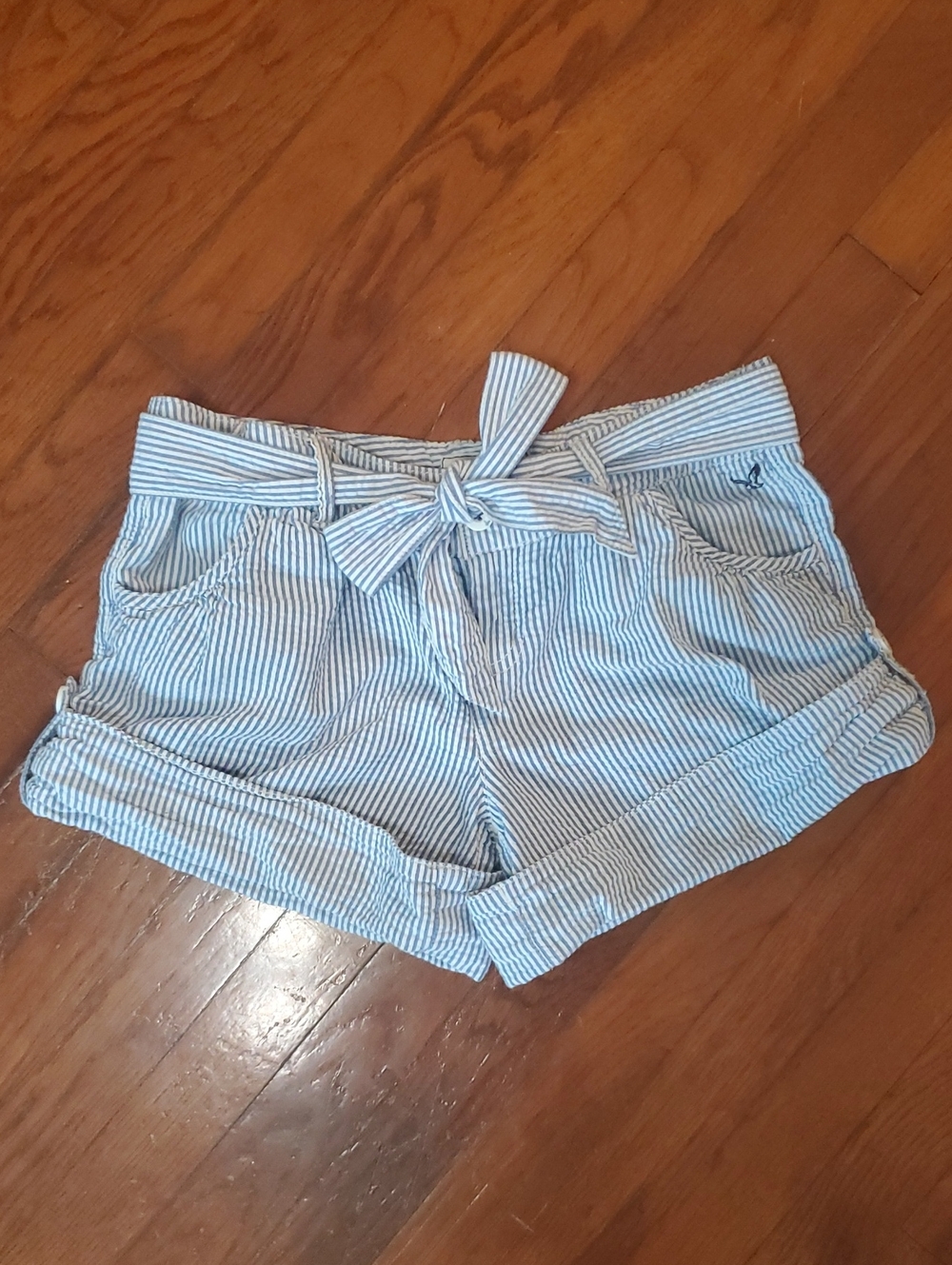 American Eagle Outfitters Blue Stripe Seersucker Shorts